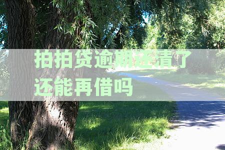 拍拍贷逾期了几天还上后,还可以再贷款吗-拍拍贷逾期了几天还上后,还可以再贷款吗?