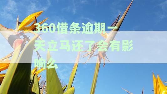 借条逾期一天还款了会不会影响征信，下次借款会有影响吗？
