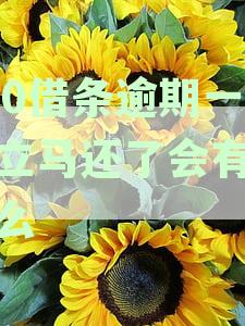 逾期还款对征信记录的影响及处理方法解析
