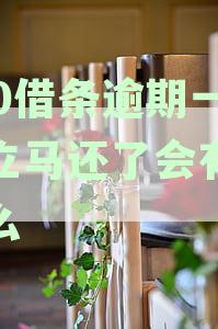 逾期了一天，还了款不能再借吗：逾期还款后能否再次借款及影响解析