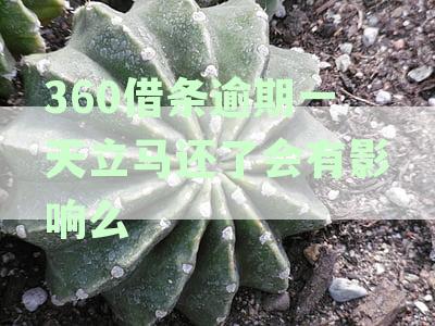 360借条逾期一天立马还了会有影响么
