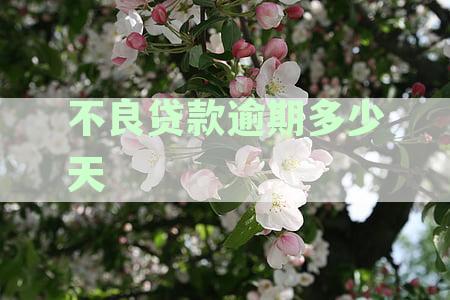 不良贷款逾期多少天算不良贷款：逾期天数界定不良记录、行为与案例