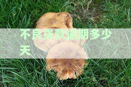 逾期贷款多久会记录在征信系统：全面解析各类贷款逾期上征信时间与影响