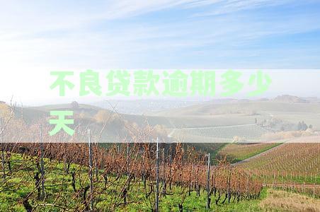 不良贷款逾期多少天会上征信：逾期天数与征信报告的关系