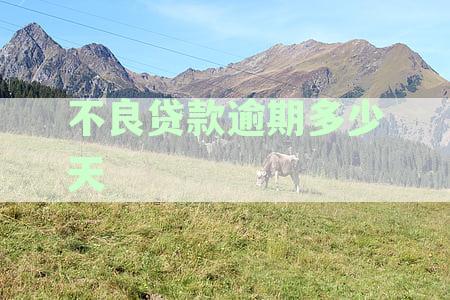 全面解析：不良贷款与逾期贷款问题、成因、影响及解决方案