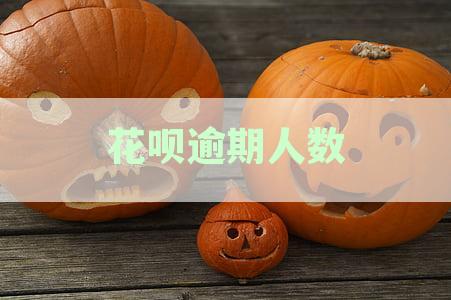 花呗逾期人数