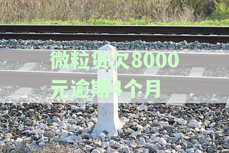 微粒贷8000元欠款逾期四个月：起诉风险、后果及应对策略详解