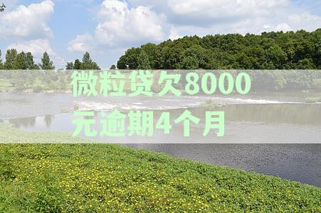 微粒贷50000逾期4个月：如何处理逾期后果，怎么办及最新资讯解读