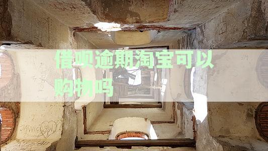'逾期后还能在淘宝购物吗？探究逾期对使用淘宝买东西的影响'