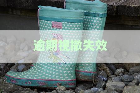逾期视撤失效