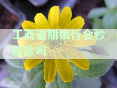 工商逾期银行会秒扣款吗