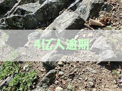 全国逾期债务人数达4亿，信用卡信用逾期问题引人关注