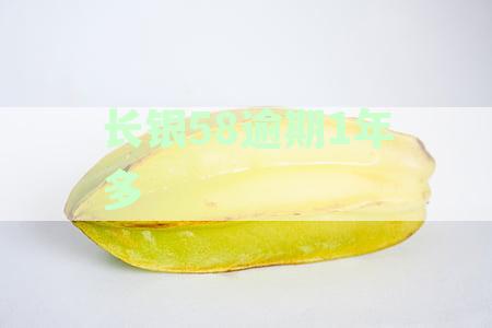 长银58金融期还款：可期多久、操作流程、是否上征信及还款方式详解