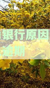 因为银行原因导致个人逾期