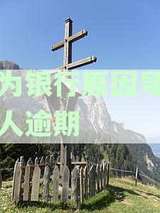 因为银行原因导致个人逾期