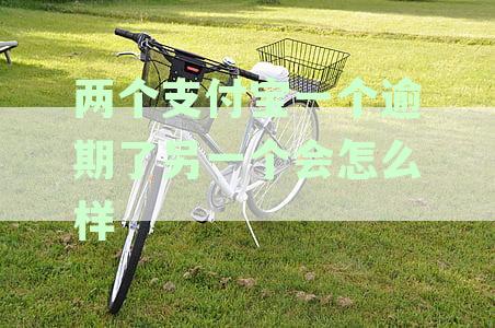 两个支付宝一个逾期了另一个会怎么样