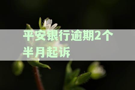 平安银行逾期2个半月起诉