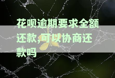 支付宝花呗逾期后，要求全额还款是否可以申请分期慢慢支付？
