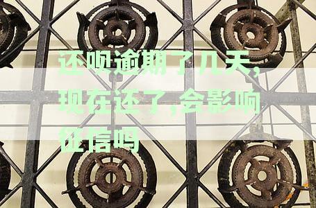 还呗逾期几天就不能正常使用了，为何及解决方法详解