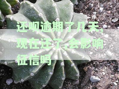还呗逾期了几天,现在还了,会影响征信吗