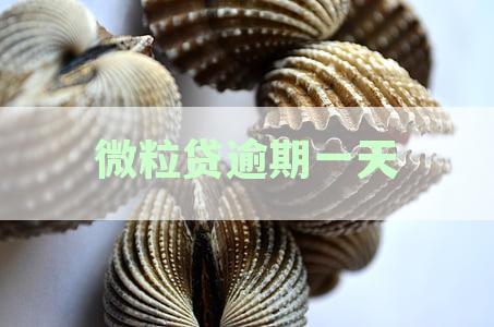 微粒贷逾期一天还清后还能不能借出来：还款后是否可恢复借款及继续贷款