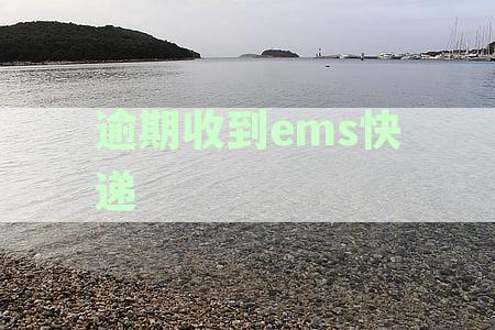 解决EMS快递文件逾期收到的常见问题与处理方法