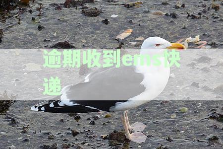 逾期收到ems快递