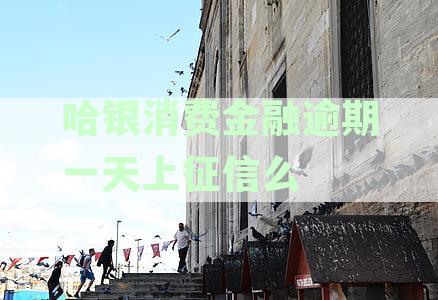 哈银消费金融逾期几天上征信，逾期处理与长期逾期后果及追债方式详解