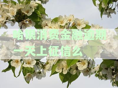 哈银消费金融逾期三个月：详细解析逾期后果与应对措
