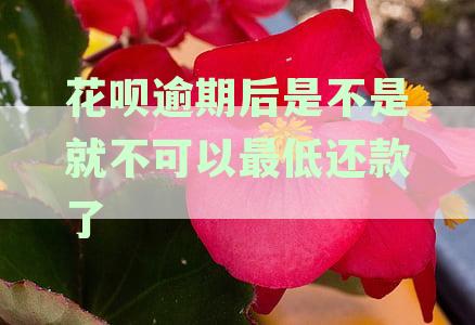 花呗逾期了是不是不能最低还款了，包括逾期后是否仍可最低还款额解析