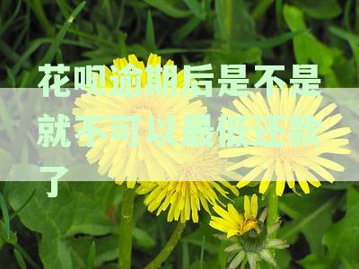 '逾期一天后，花呗还能否进行最低还款?'