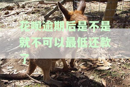 花呗逾期还款全解析：最低还款、利息计算与逾期影响一览