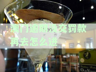 澳门居民如何进行逾期罚款补缴详细流程指南