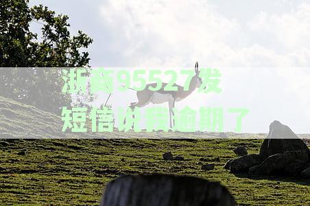 紧急提醒：浙商银行95527短信通知逾期还款，或将影响个人征信记录