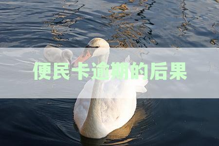 银行便民卡逾期还款一天会有什么后果？信用影响与处理方法解析