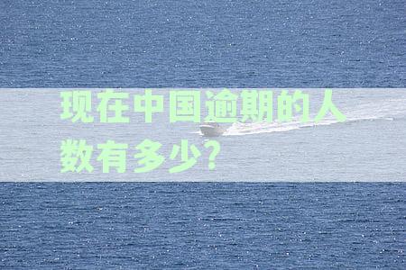 中国逾期人员有多少（2024更新）：具体人数统计详析