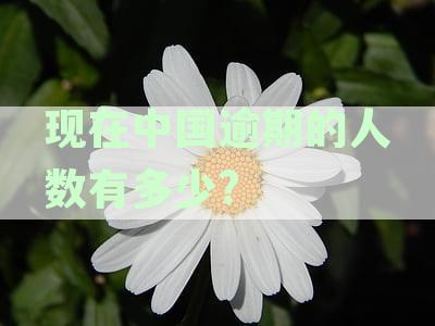 揭示中国全国信用卡负债人数：逾期负债人有多少逾期负债
