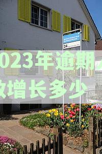 2023年逾期人数增长多少