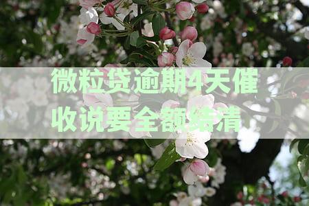 微粒贷逾期4天催收说要全额结清并约谈家人朋友真的吗-微众银行委托第三方上门