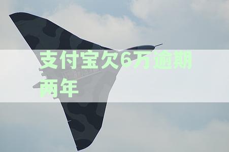 支付宝欠6万逾期两年罚息多少：逾期一年利息计算及两年罚息总额