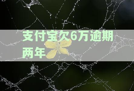 支付宝欠款6万逾期两年解决策略：逾期处理、还款方案及信用修复指南
