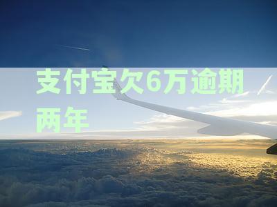 支付宝欠6万逾期两年