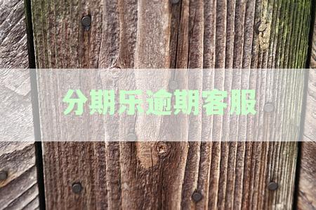 分期乐逾期客服