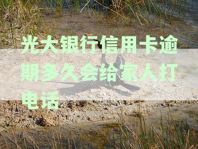 光大银行信用卡逾期后多久将通知家人：详细打电话时间与联系流程资讯