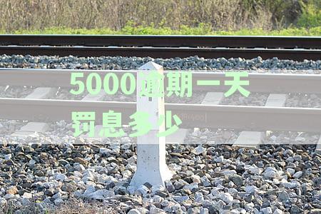 逾期贷款一天罚息计算方法：5000元欠款与1350元罚息详解