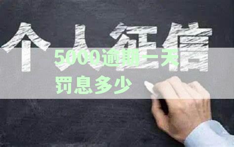 逾期1万元每日罚息计算方法及常见利率解析