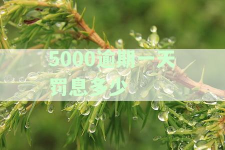 5000逾期一天罚息多少