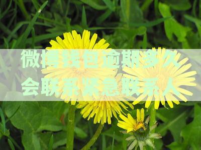 微博钱包逾期还款对征信影响解析：多久会上征信及逾期催收后果一览