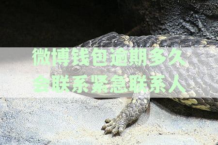 微博钱包逾期两天会影响征信吗？处理逾期后还能借钱吗？