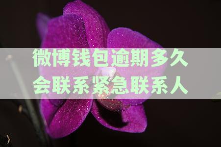 微博钱包逾期多久会联系紧急联系人